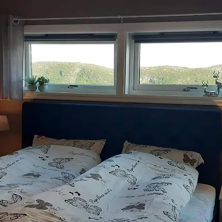 House With A Great View!